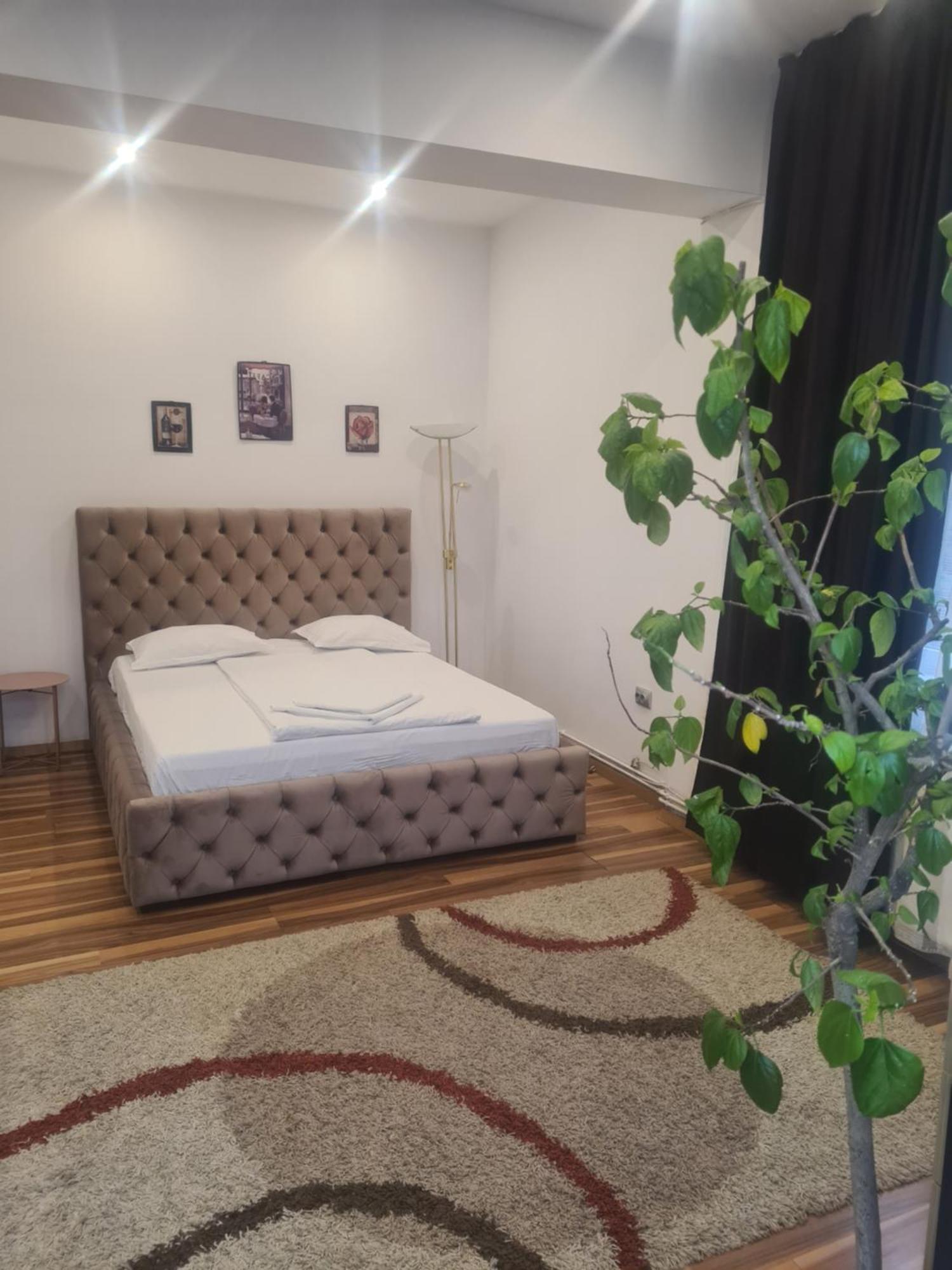 Pensiunea Corina Boutique * Craiova